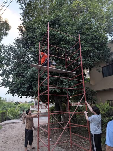 scaffolding for sale