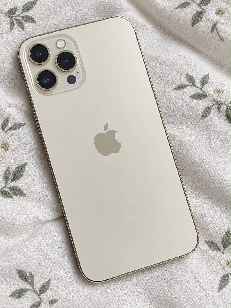 Apple iPhone 12 Pro Max 1
