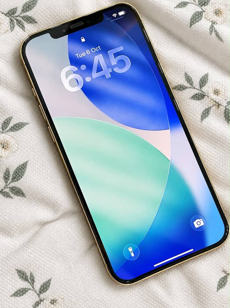 Apple iPhone 12 Pro Max 2