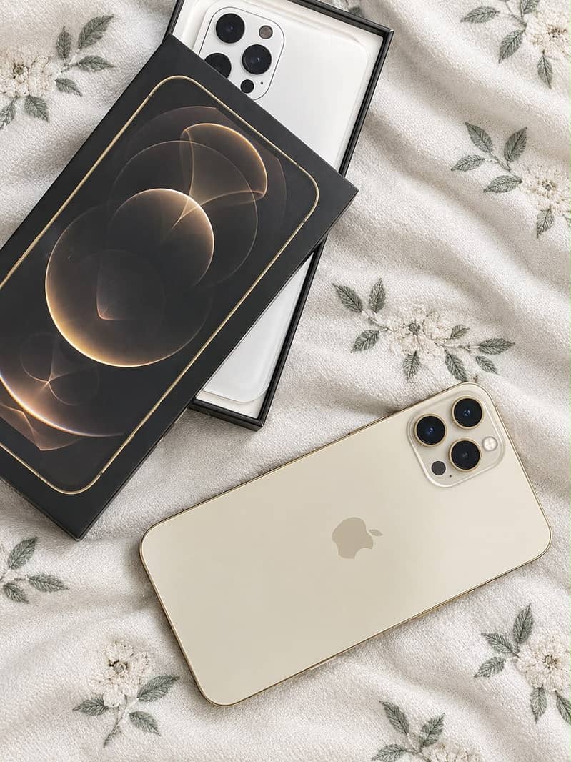 Apple iPhone 12 Pro Max 4