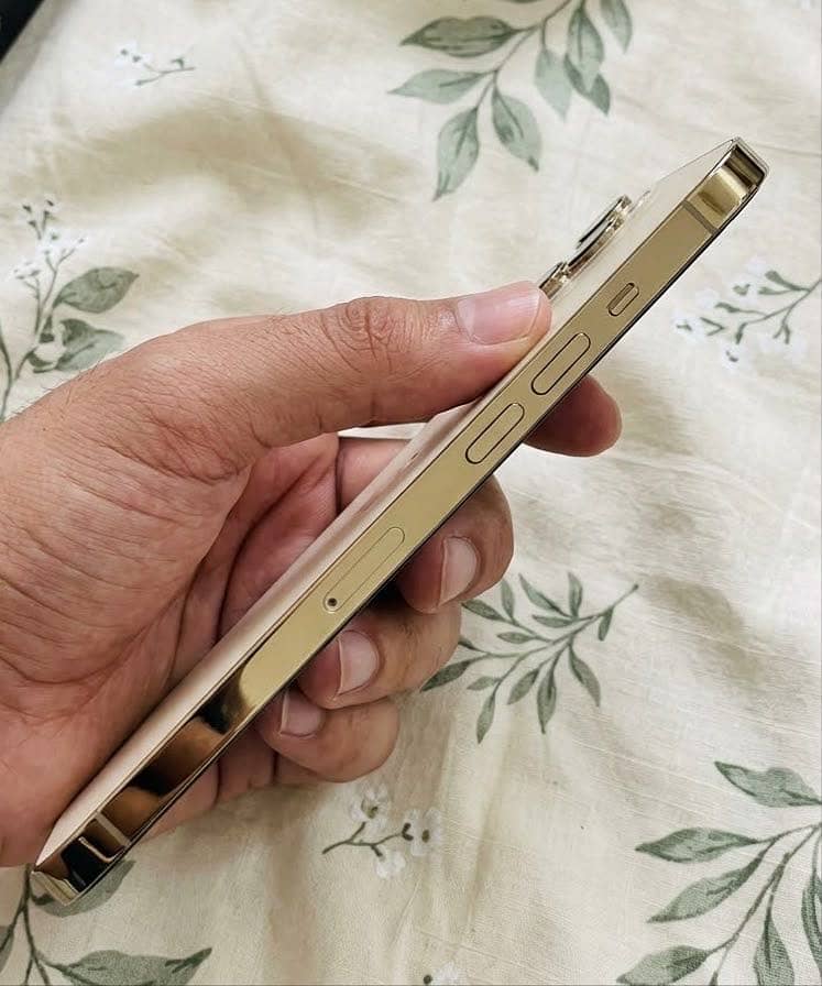 Apple iPhone 12 Pro Max 5