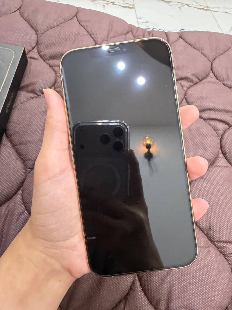 Apple iPhone 12 Pro Max 6