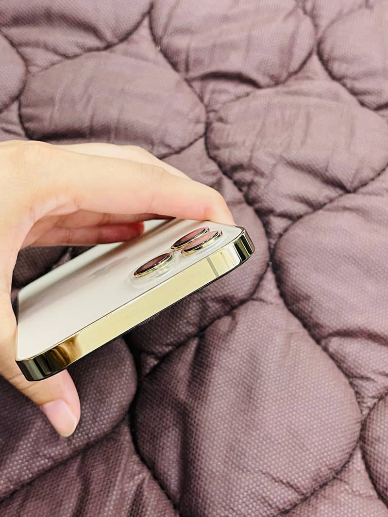 Apple iPhone 12 Pro Max 10