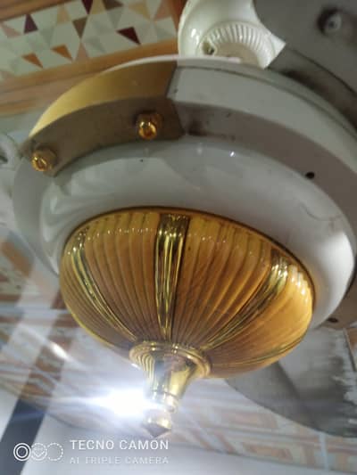 Fan for sale