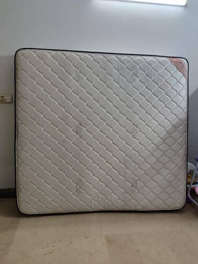 Master spring air mattress king size