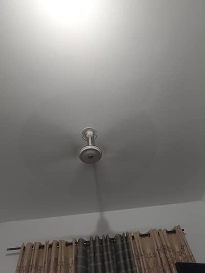 ceiling fan