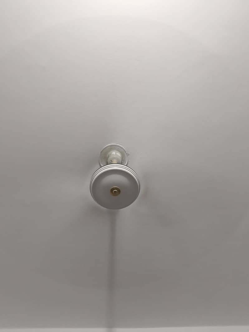 ceiling fan 1