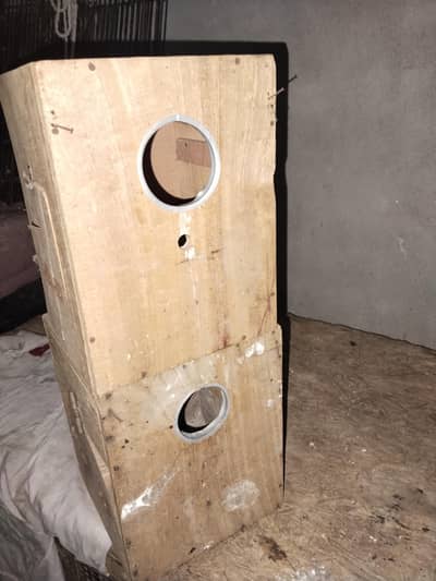 2box love bird for sale