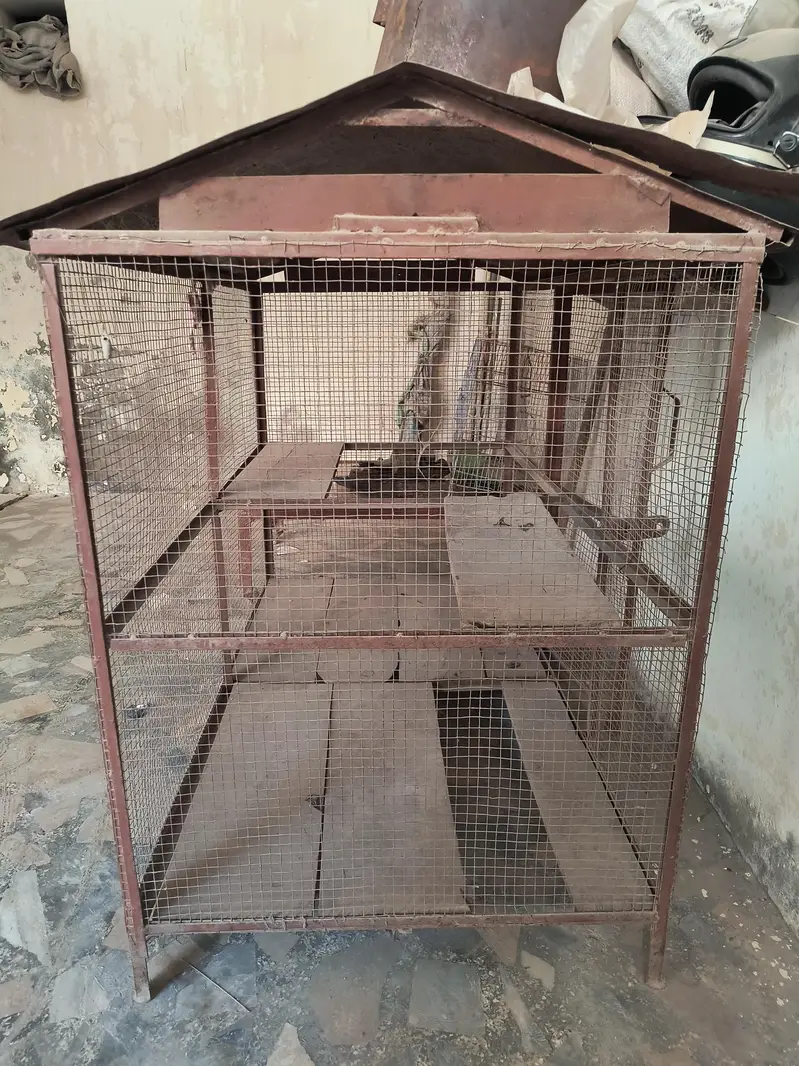 Cage for Sale — photo 2