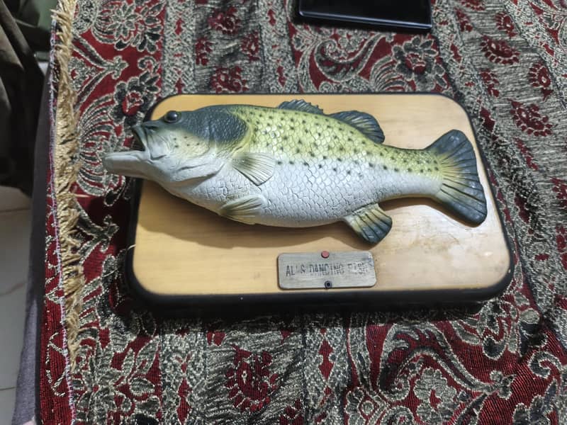 fish showpiece kitchen 0