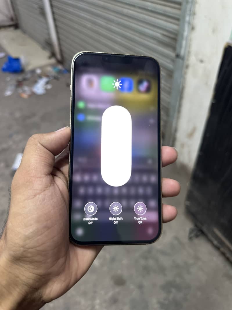 iPhone 13 Pro Max JV 4