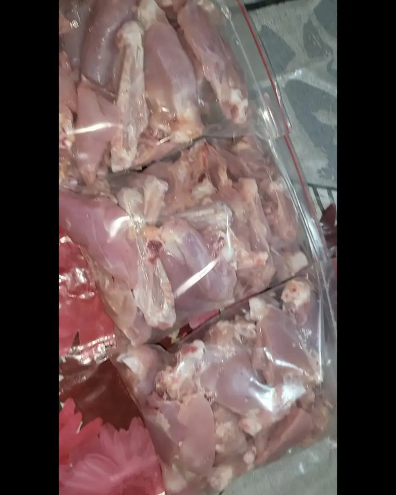 Live Turkey Bird / Fresh Turkey meat / Turkey Birds — photo 3
