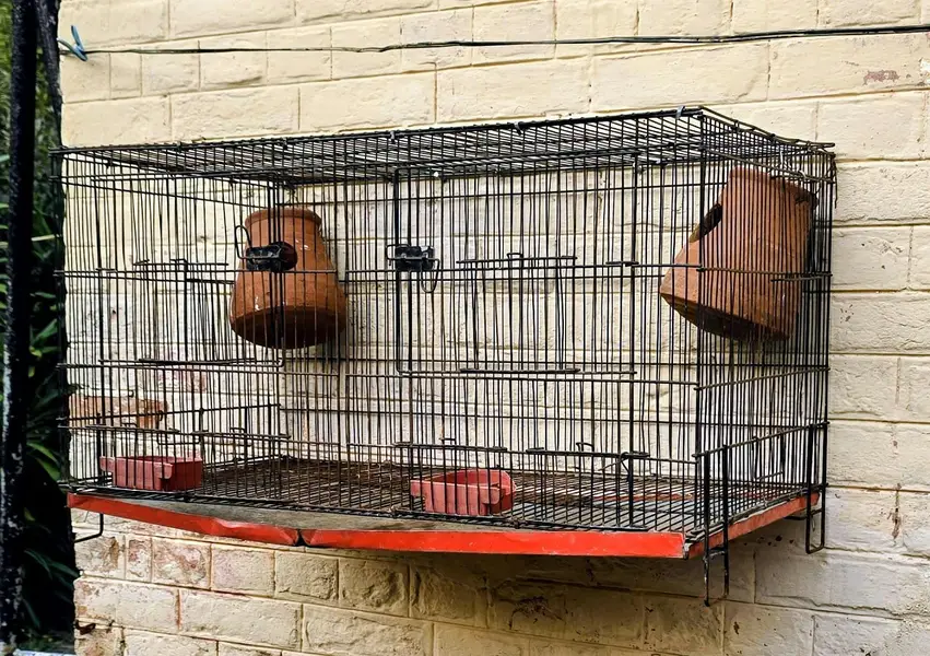 Bird Cage For Sale — photo 2