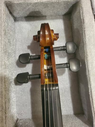 New Viollen From Canada