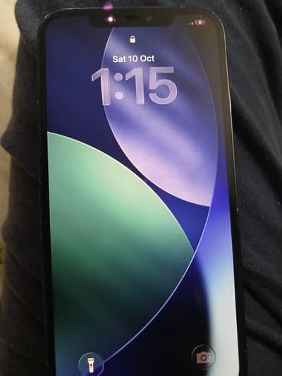 Apple iPhone 12 Pro Max