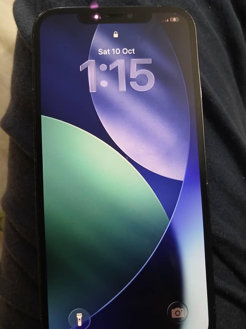 Apple iPhone 12 Pro Max 1