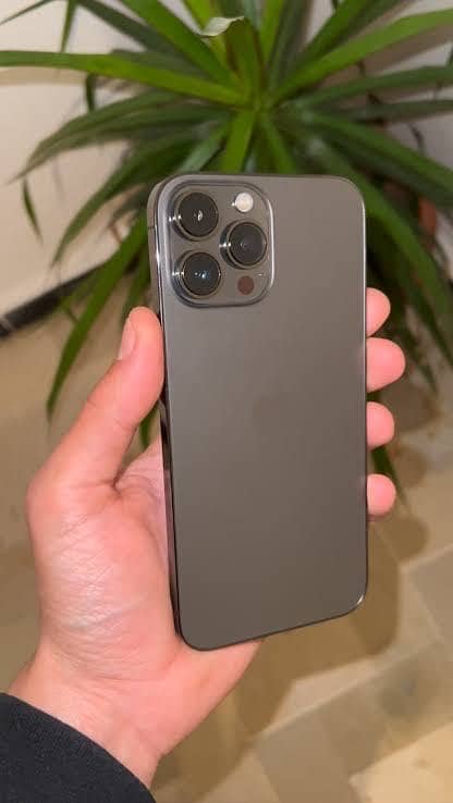 Apple iPhone 13 Pro Max 1
