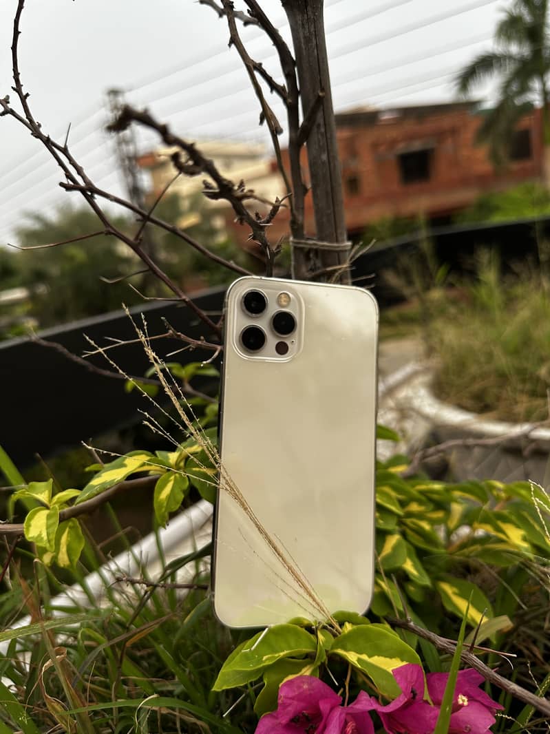 Apple iPhone 12 Pro 3