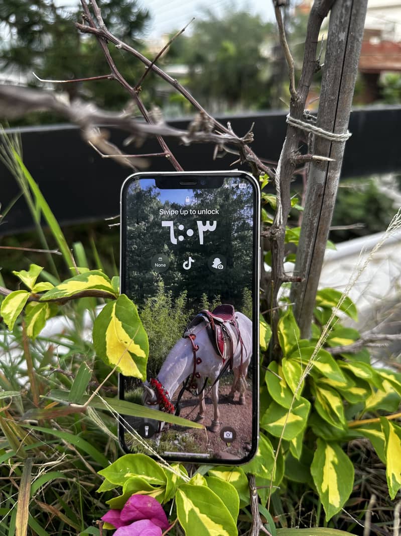 Apple iPhone 12 Pro 4