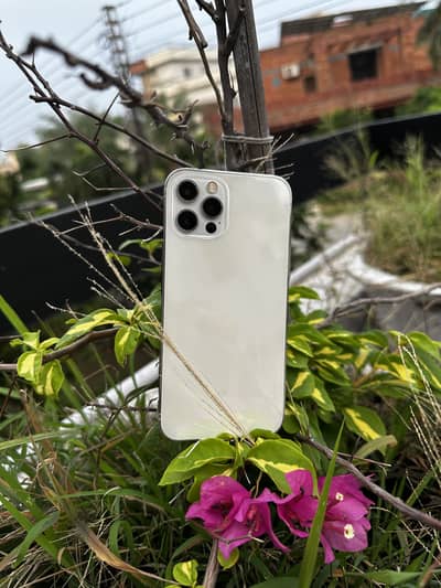 Apple iPhone 12 Pro
