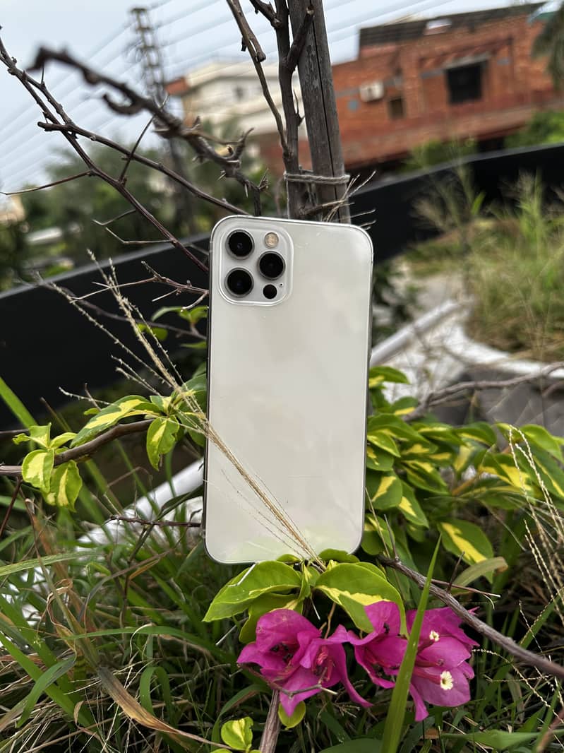 Apple iPhone 12 Pro 0