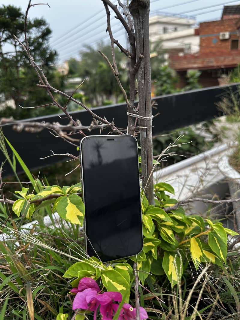 Apple iPhone 12 Pro 7