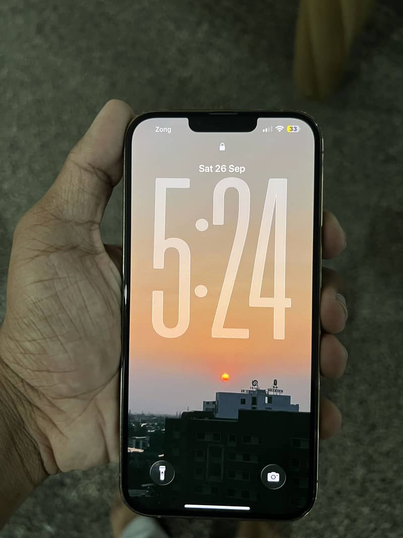 Apple iPhone 13 Pro Max 1