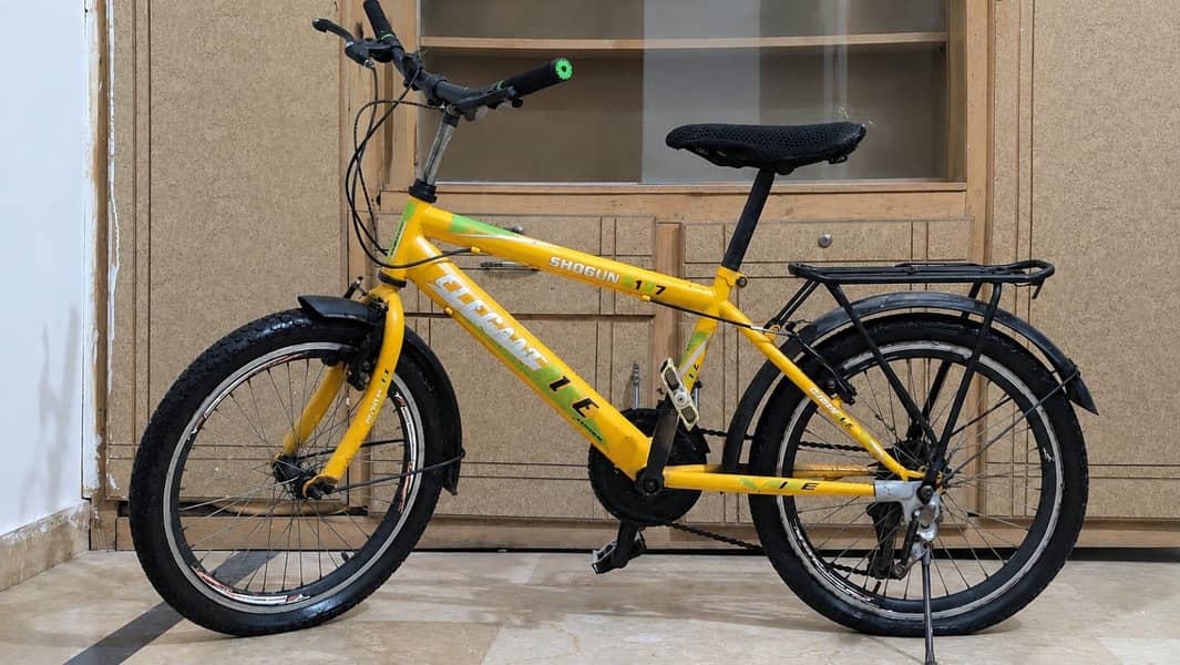 Bicycle 0