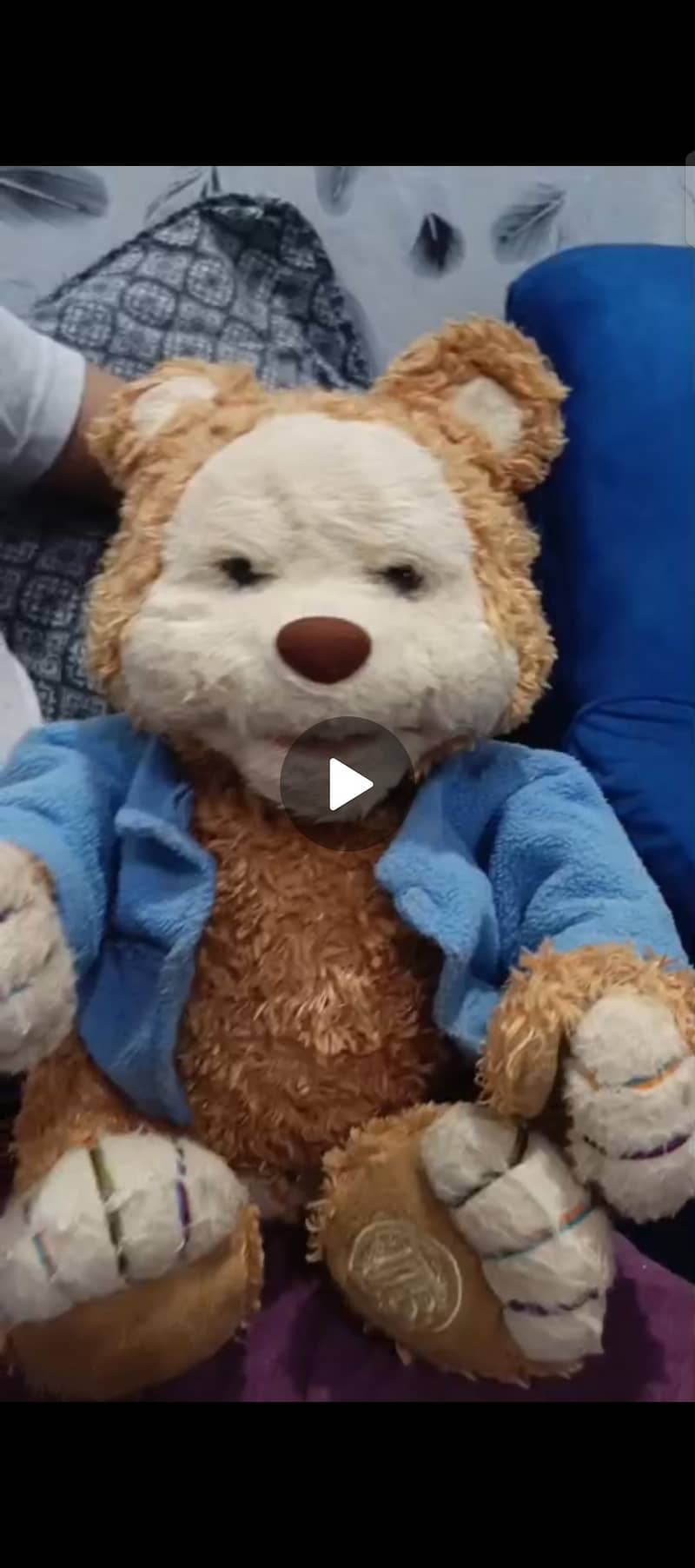 singing bear 1