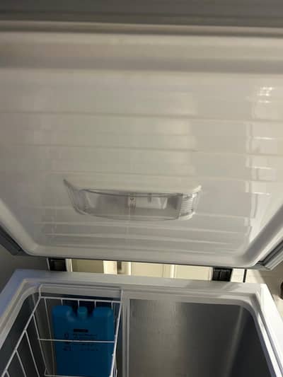 Freezer For Sale