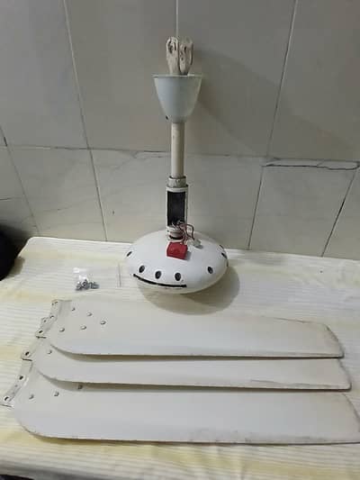 Ceiling Fan for Sale