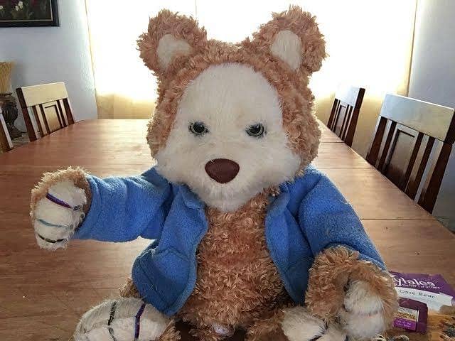 singing bear 2