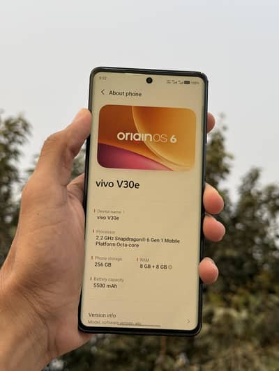 Vivo V30e