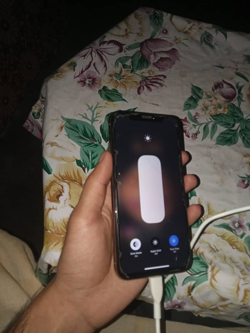 Apple iPhone XS 1