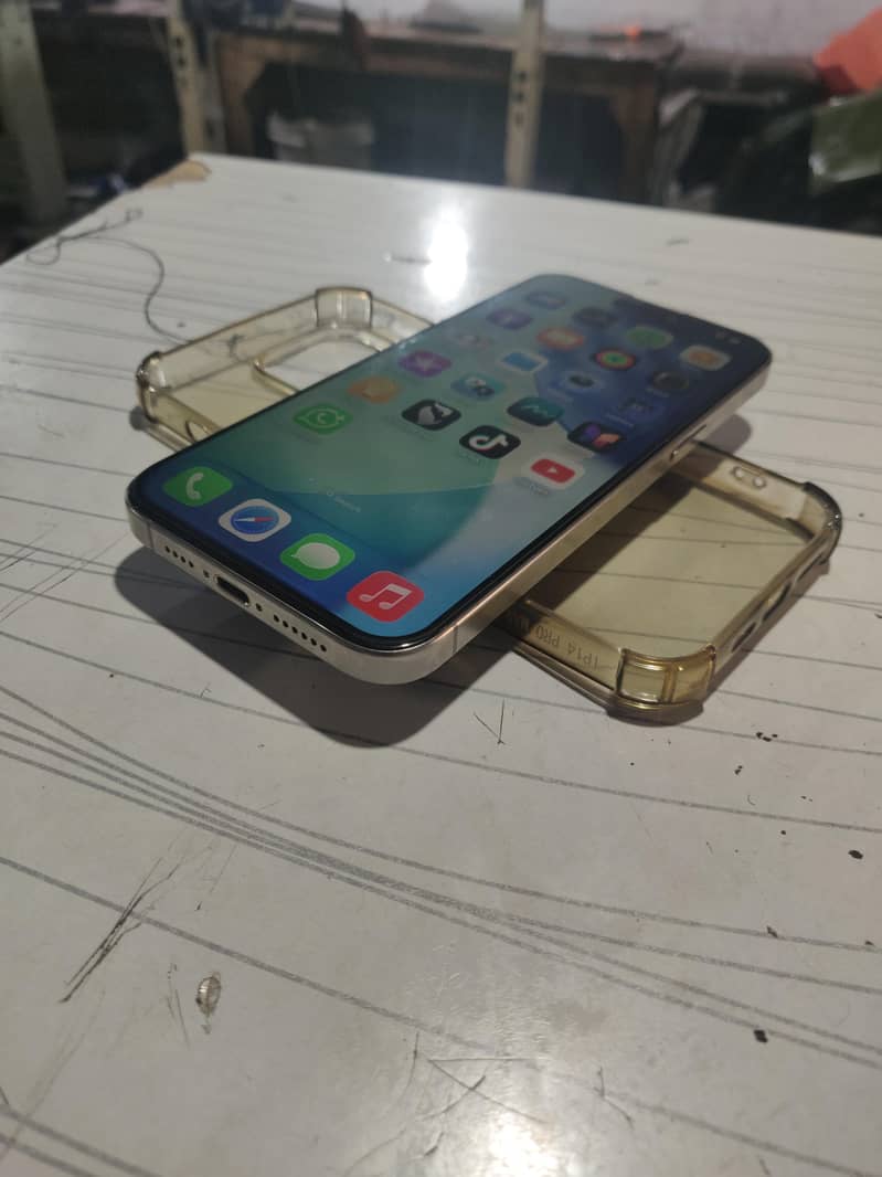 Apple iPhone 15 Pro Max 1