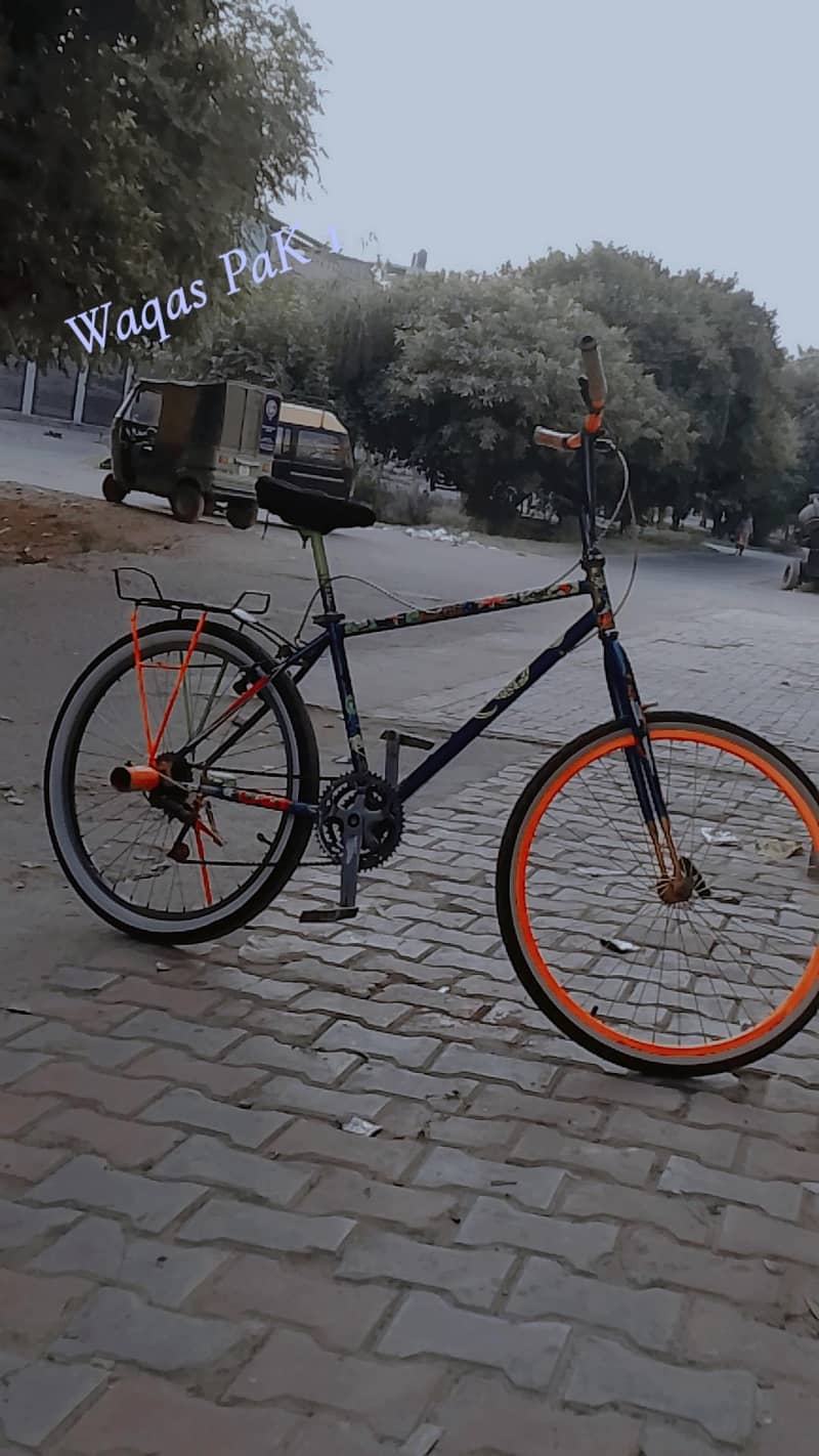 japani cycle 4