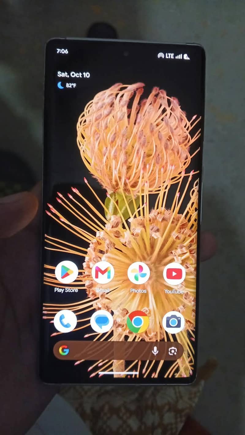 Google Pixel 6 Pro 1