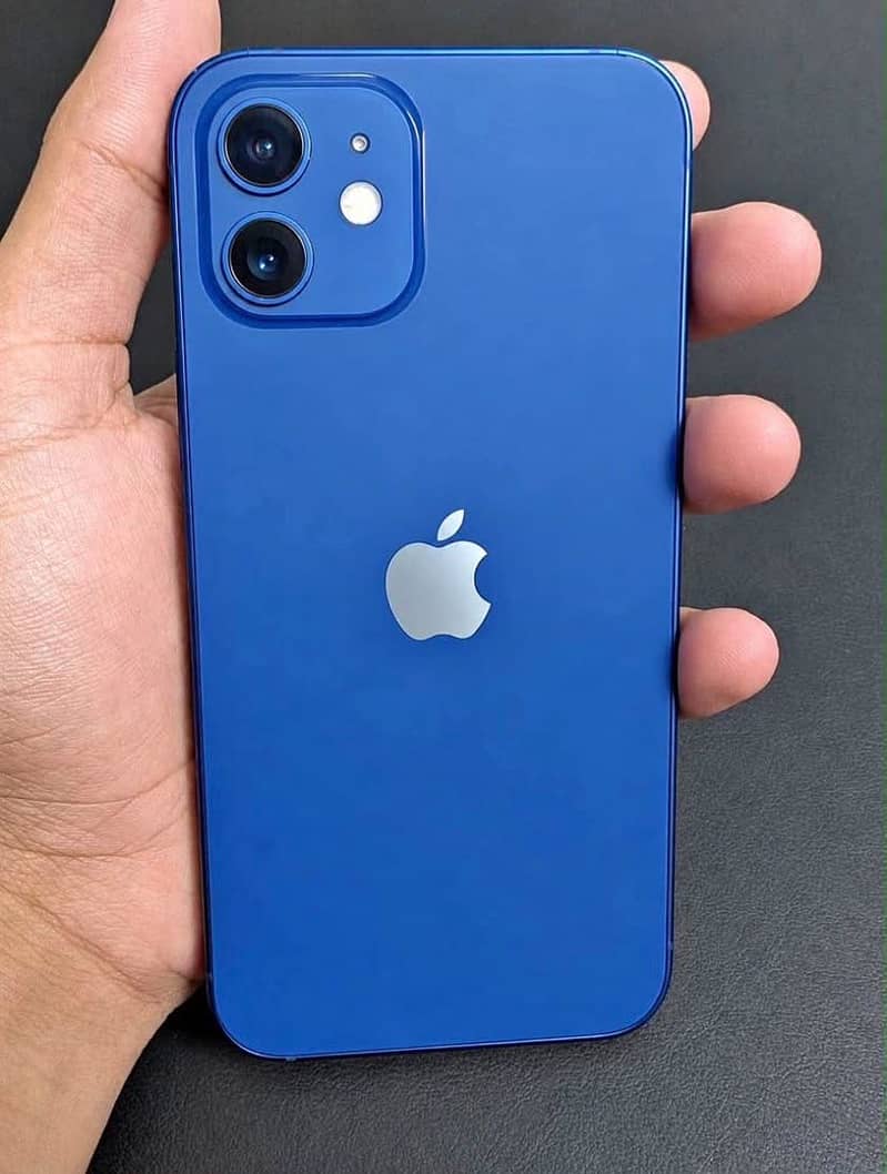 Apple iPhone 12 2