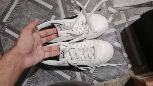 Puma size 40,41 ( 50% off )