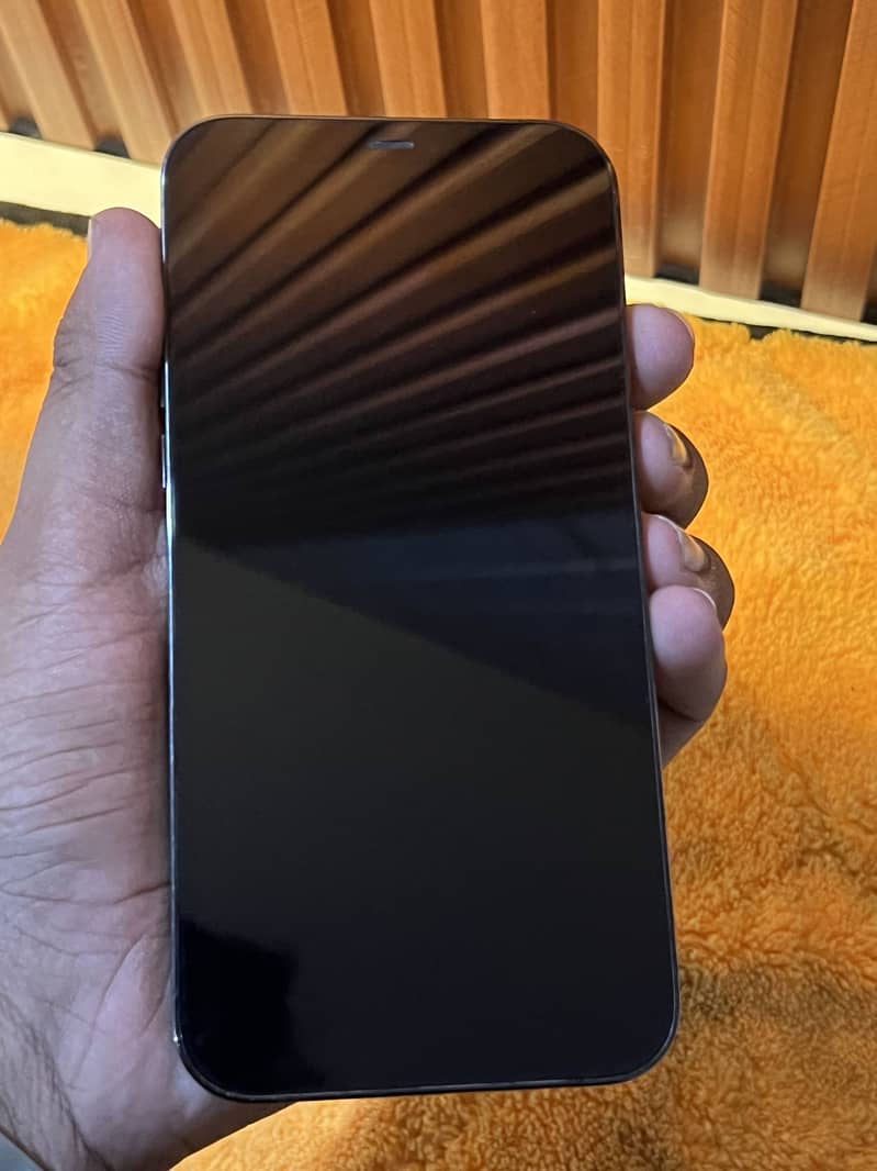 Apple iPhone 12 Pro Max 1