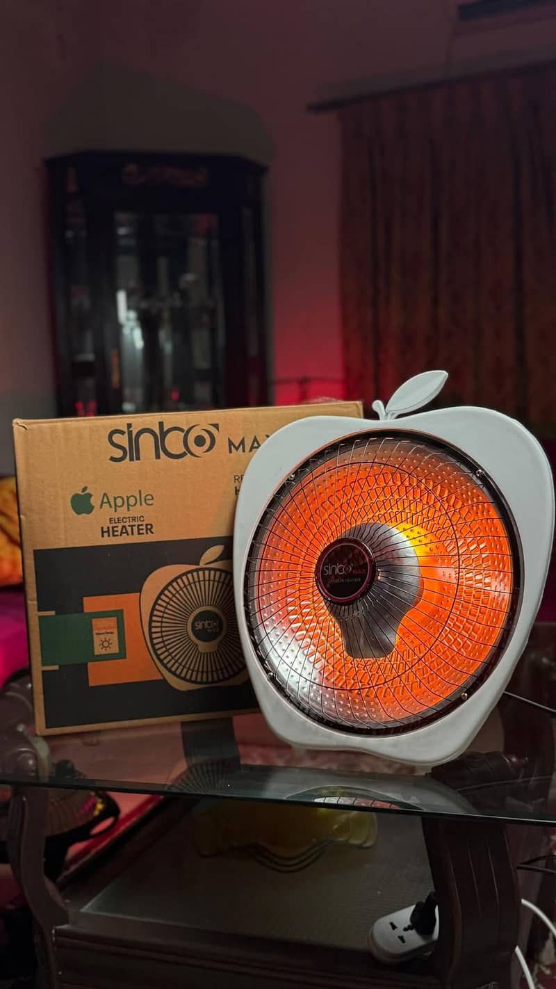 Electric heater 1