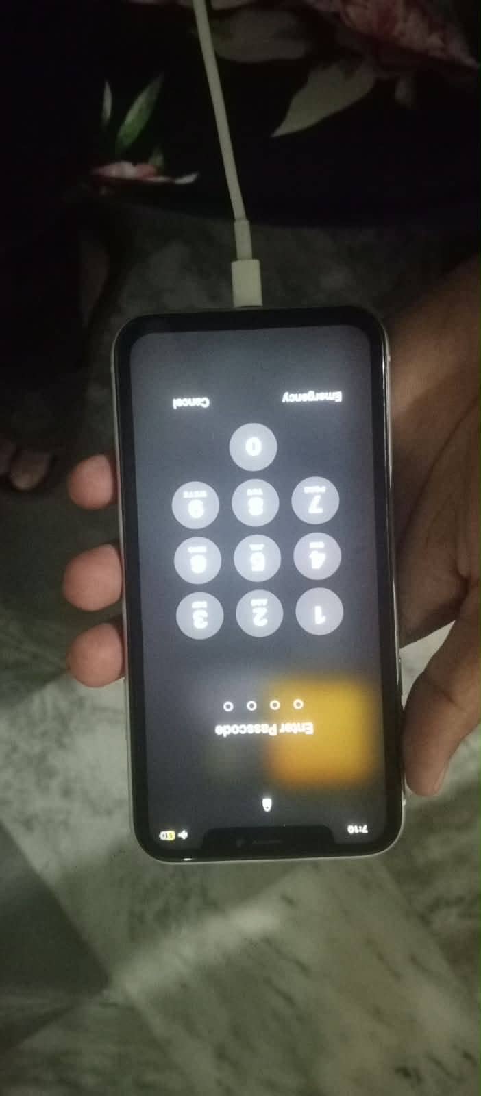 Apple iPhone XR 5