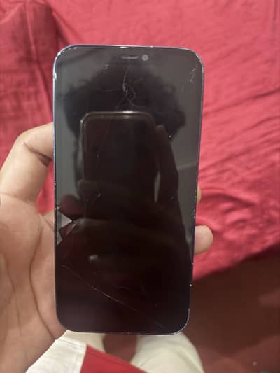 Apple iPhone 12