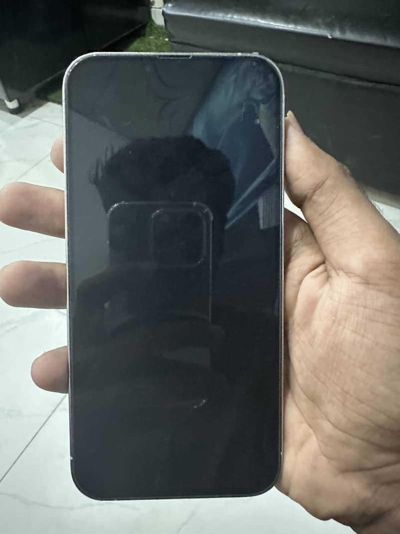 Apple iPhone 13 Pro Max 6