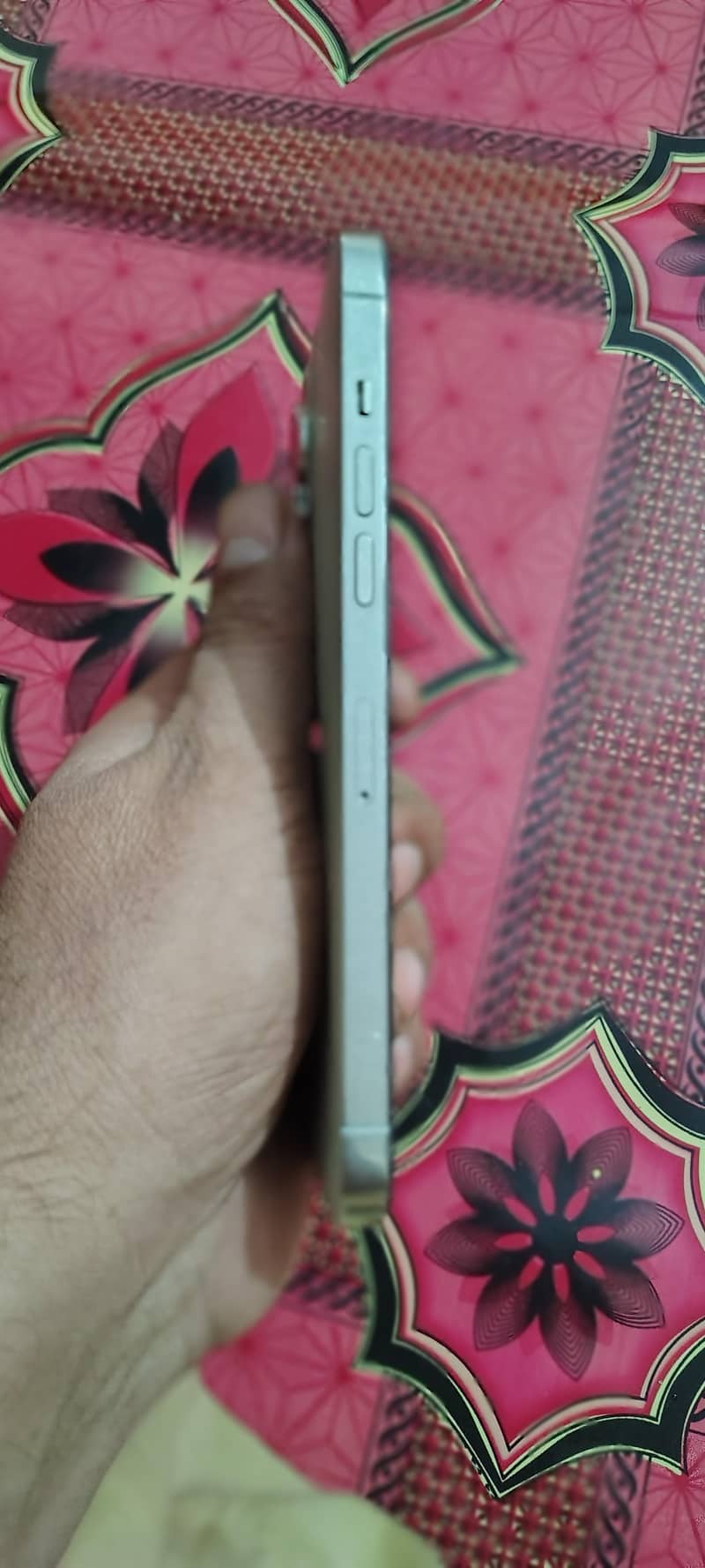 Apple iPhone 12 Pro Max 1