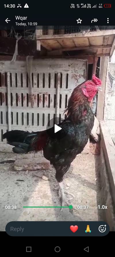 786786