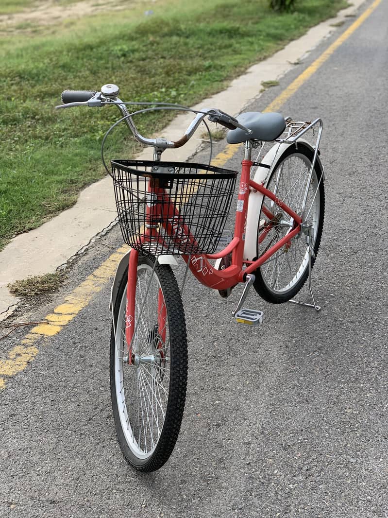 New bicycle 2
