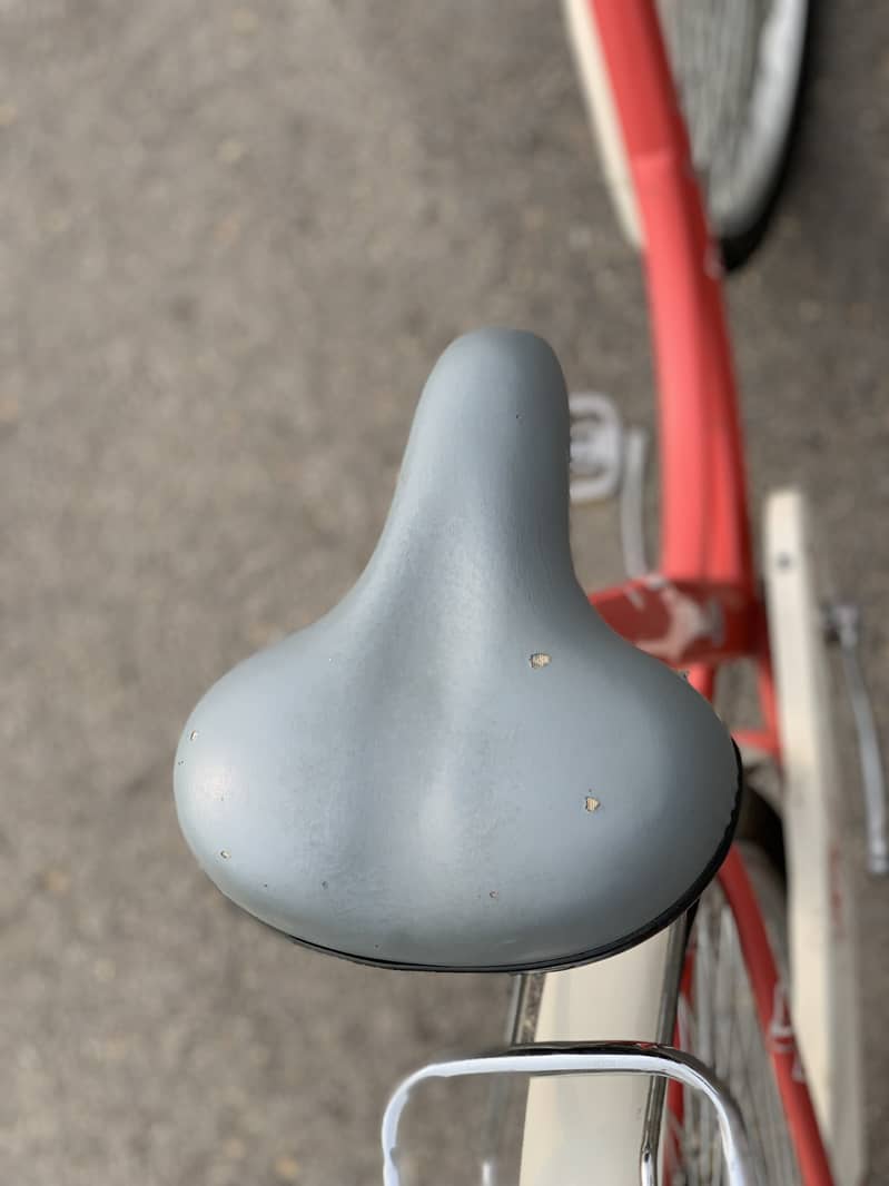 New bicycle 8