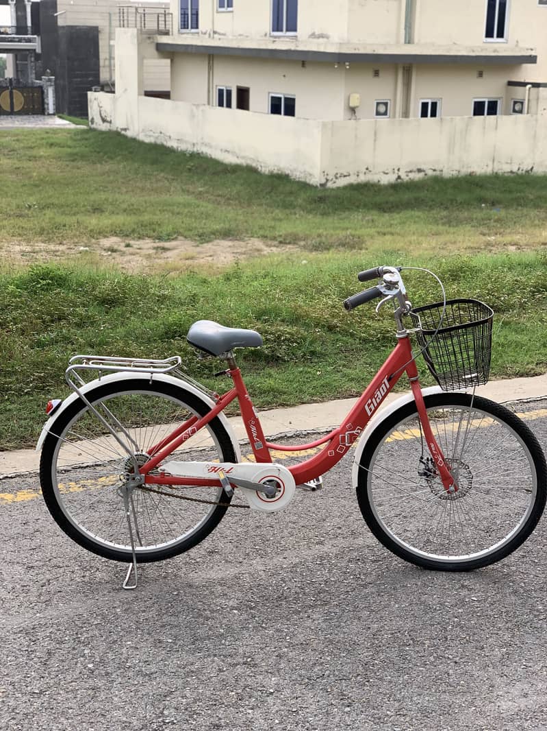 New bicycle 11