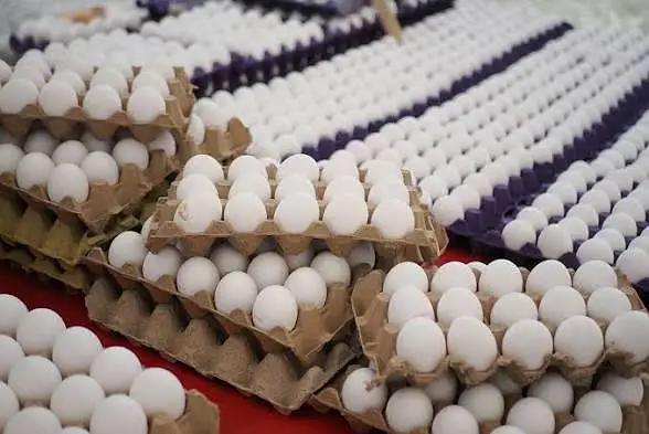 eggs sale — photo 2